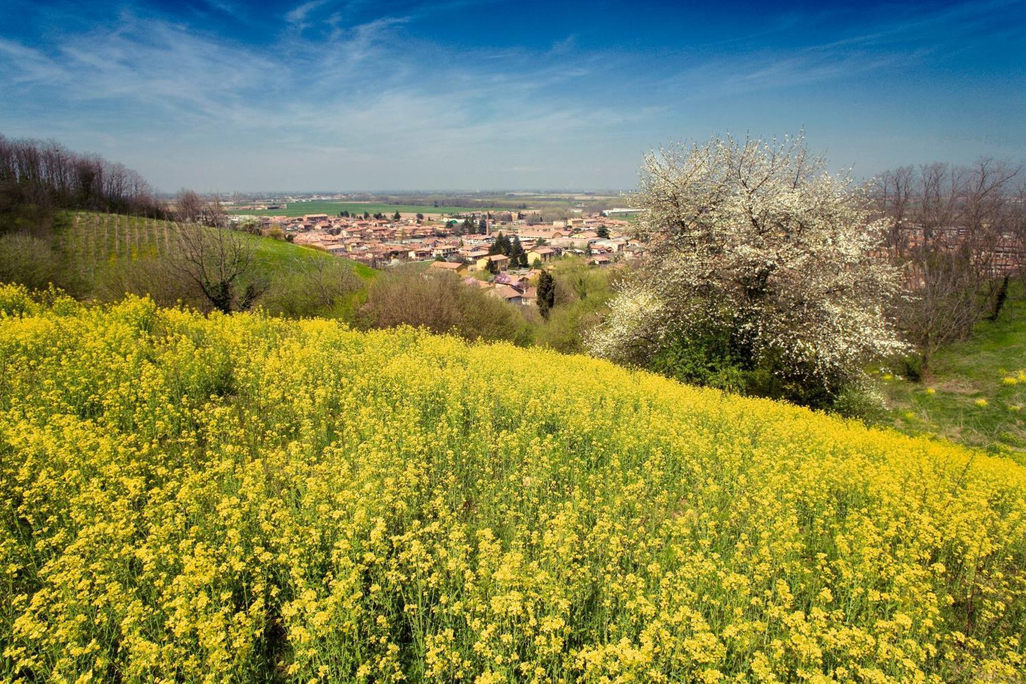 Bed & Breakfast Sforza 19 San Colombano al Lambro Экстерьер фото